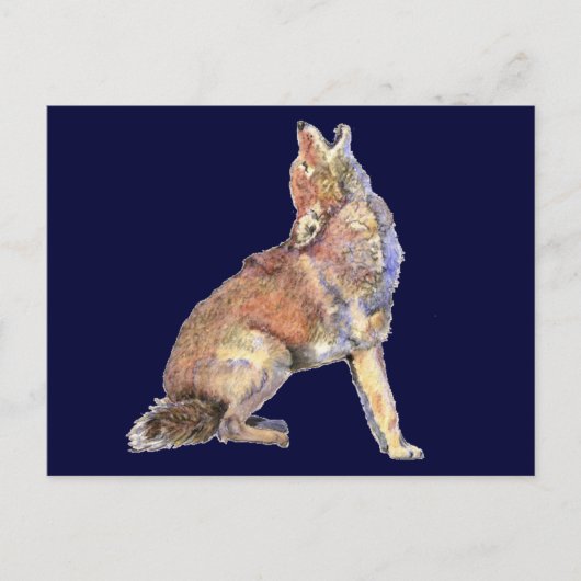 Wasserfarbenkojote, Tier, Natur Postkarte (Vorderseite)