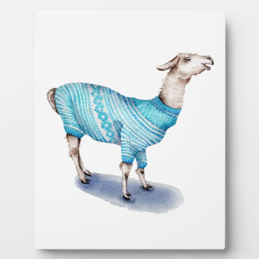 Wasserfarbenlama in blauem Pullover Fotoplatte (Vorderseite)