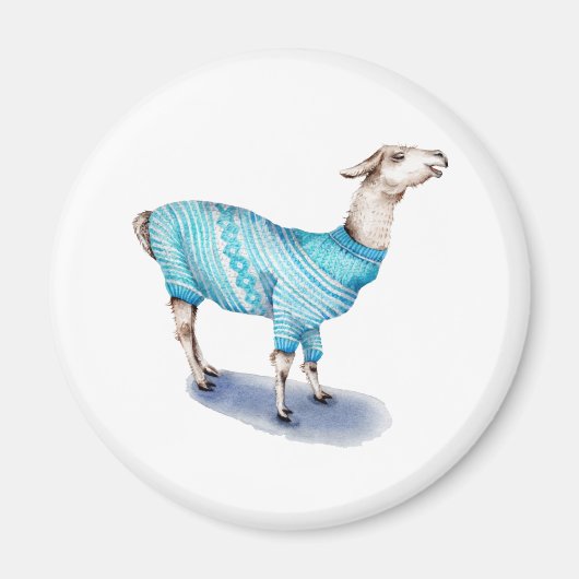 Wasserfarbenlama in blauem Pullover Magnet (Vorne)