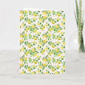 Wasserfarbenlemon Mittelmeerkügelt Programm (Rückseite)