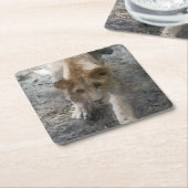 Wasserfarbenlioness Rechteckiger Pappuntersetzer (angewinkelt)