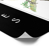 Wasserfarbenmagie bei Vögeln, Tiersammlung Poster (Ecke)