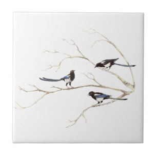 Wasserfarbenmagpie-Vogelfamilie Chat in Bäumen Fliese
