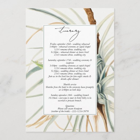 Wasserfarbenneutraler Boho Hochzeitspaar Programm (Rückseite)