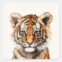 Wasserfarbenportrait eines kleinen Tiger