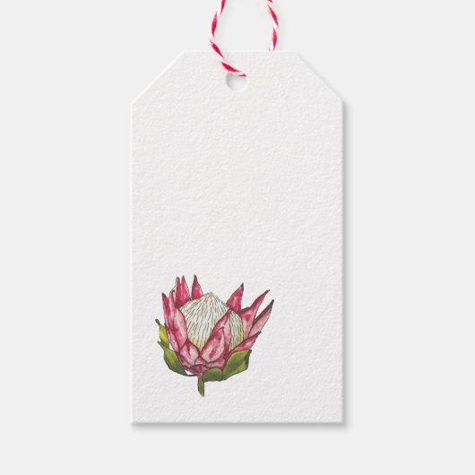 Wasserfarbenprotea auf dem weißen Tag Geschenkanhänger (Vorderseite)