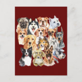 Wasserfarbenrassen Postkarte (Vorderseite)