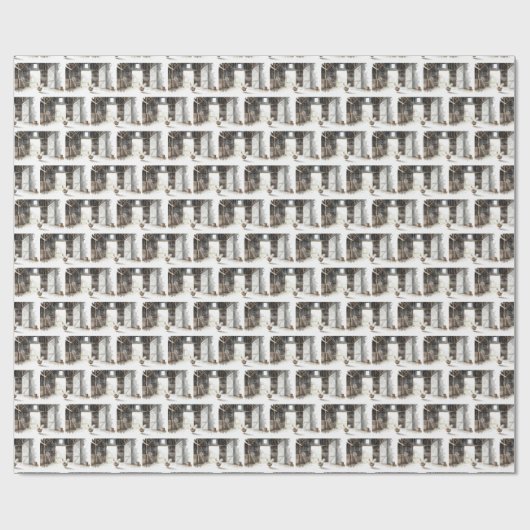 Wasserfarbenroster in einer Scheune Geschenkpapier (Flach)