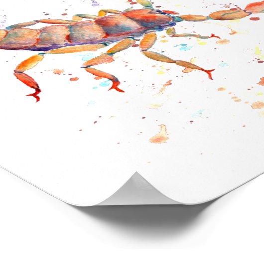 Wasserfarbenscorpion Poster (Ecke)