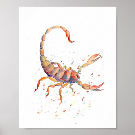 Wasserfarbenscorpion Poster (Vorne)