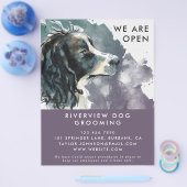 Wasserfarbenspringer Spanierhunde Wiedereröffnung Flyer (Einzeln)