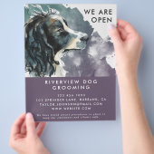 Wasserfarbenspringer Spanierhunde Wiedereröffnung Flyer (Hand)