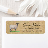 Wasserfarbensuffolk Sheep (Insitu)