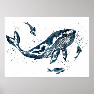 Wasserfarbenwal in Blau Poster