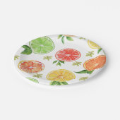 Wasserfarbenzitrus Kleine Süsse Kinderdusche Pappteller (Schrägansicht)