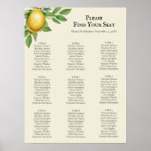 WasserfarbenZitrusfrüchte Rustikale Seekarte Poster (Vorne)