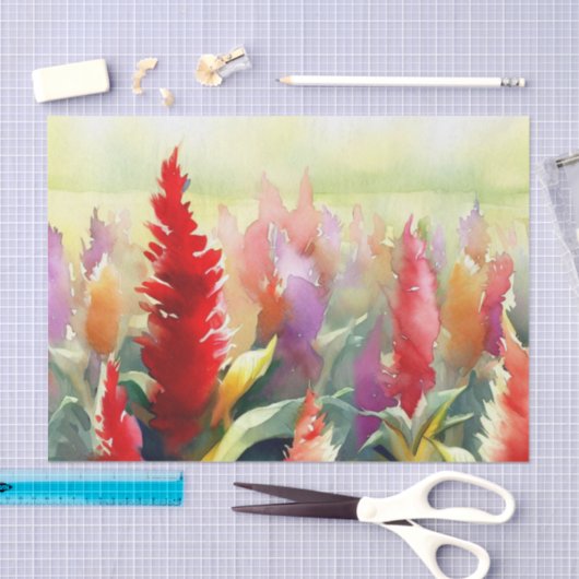 Wasserfarbfeld Blume-Celosia (C) Seidenpapier (Handwerk)