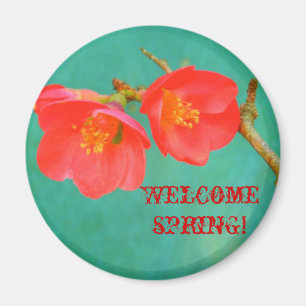 Wasserfarbiger Sakura-Blossom Magnet