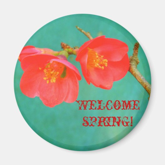 Wasserfarbiger Sakura-Blossom Magnet (Vorne)