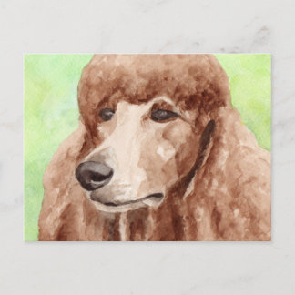 Wasserfarbpoodle Postkarte