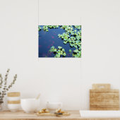 Wasserfisch Poster (Küche)