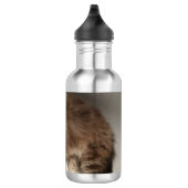 Wasserflasche (Rechts)