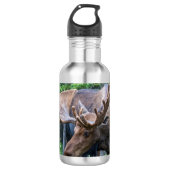 Wasserflasche (Vorderseite)