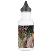 Wasserflasche (Links)