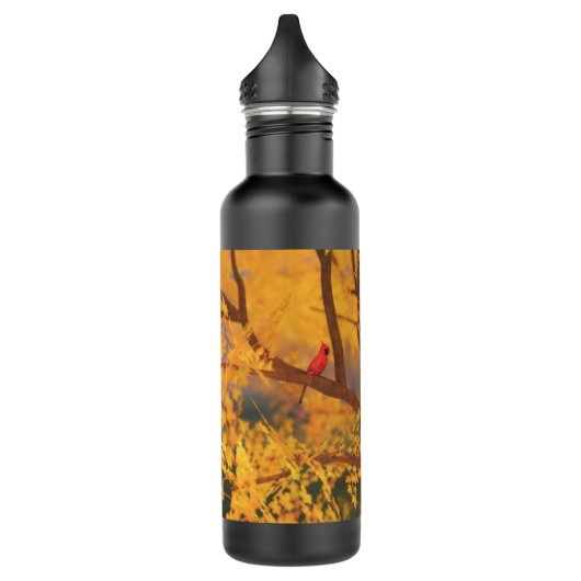 Wasserflasche für den Herbst Edelstahlflasche (Links)