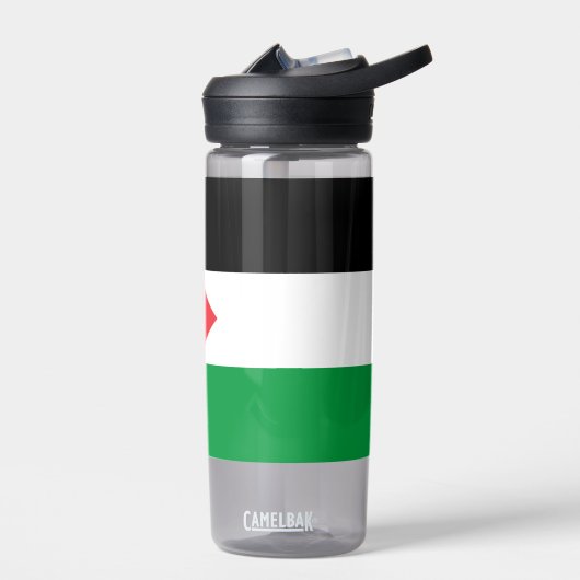 Wasserflasche mit der Flagge Palästinas Trinkflasche (Links)