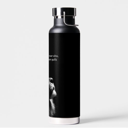 Wasserflasche Trinkflasche (Links)