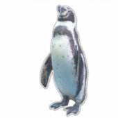 Wasserfliegenloser Vogel Pinguin Aufkleber (Vorderseite)