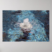 Wasserfontänen Poster (Vorne)