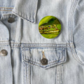 Wasserfrosch Button (Beispiel)