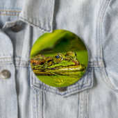 Wasserfrosch Button (Beispiel)