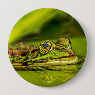Wasserfrosch Button