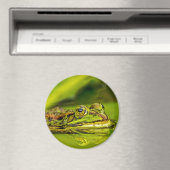 Wasserfrosch Magnet (In Situ (Geschirrspüler))