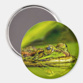 Wasserfrosch Magnet (Vorderseite/Rückseite)