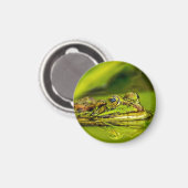 Wasserfrosch Magnet (Vorderseite/Rückseite)