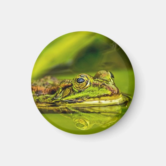 Wasserfrosch Magnet (Vorne)