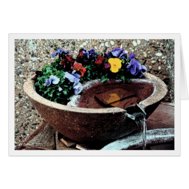 Wassergarten (Vorderseite (Horizontal))