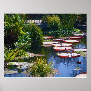 Wassergarten-Foto-Poster-Druck Poster
