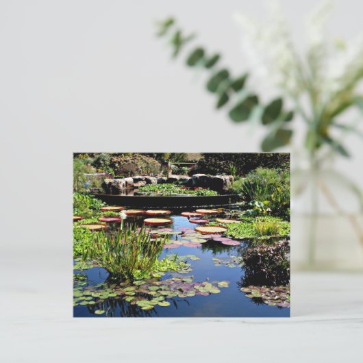 Wassergarten Postkarte (Stehend Vorderseite)