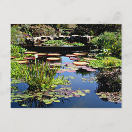 Wassergarten Postkarte