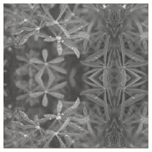 Wassergepunktete Blätter