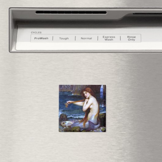 Wasserhaus: Die Meerjungfrau Magnet (In Situ (Geschirrspüler))