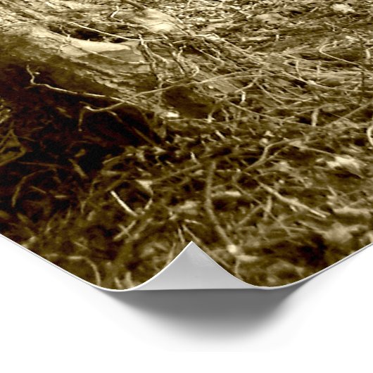 Wasserhäuser Holz Poster (Ecke)