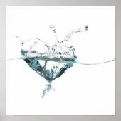 Wasserherd Poster (Vorne)