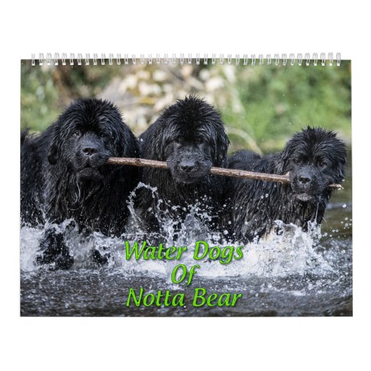 Wasserhunde aus Nottobar Kalender (Titelbild)
