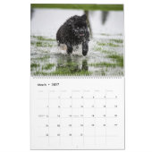 Wasserhunde aus Nottobar Kalender (Mär 2027)